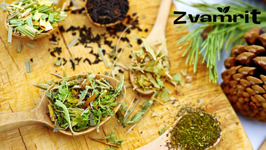 Why Traditional Herbal Blends Continue to Earn Consumer Trust