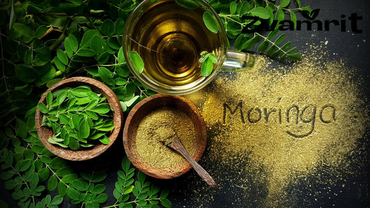 Moringa Powder for Daily Clean Nutrition: A Simple Addition to a Healthier Routine